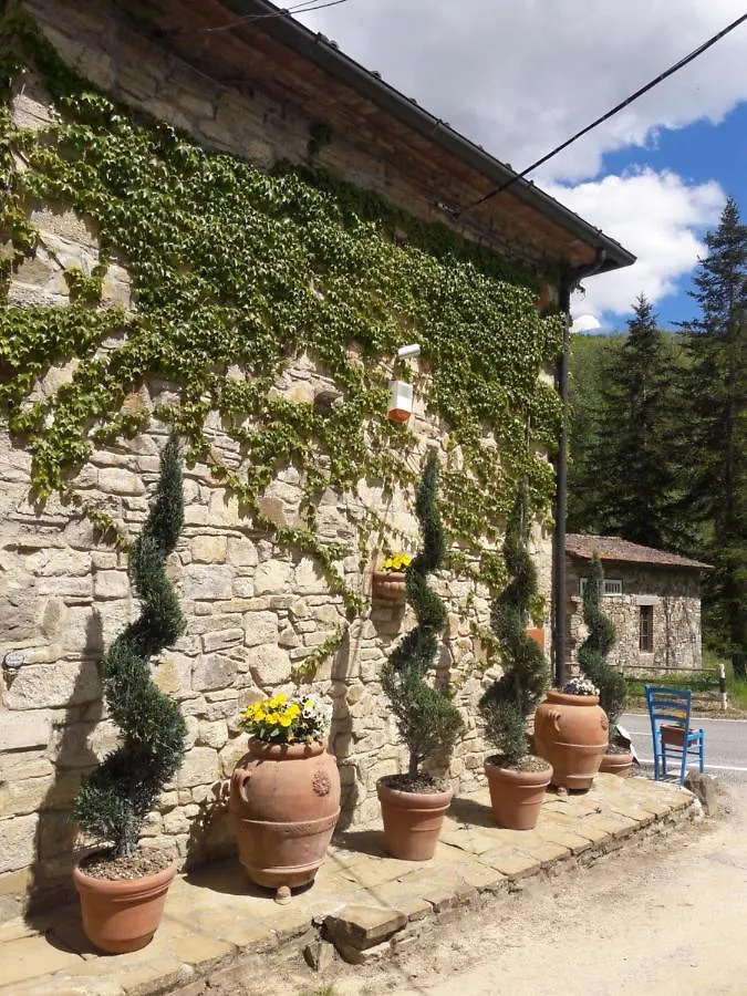 Bed & Breakfast La Fiaba Castellina in Chianti Italien